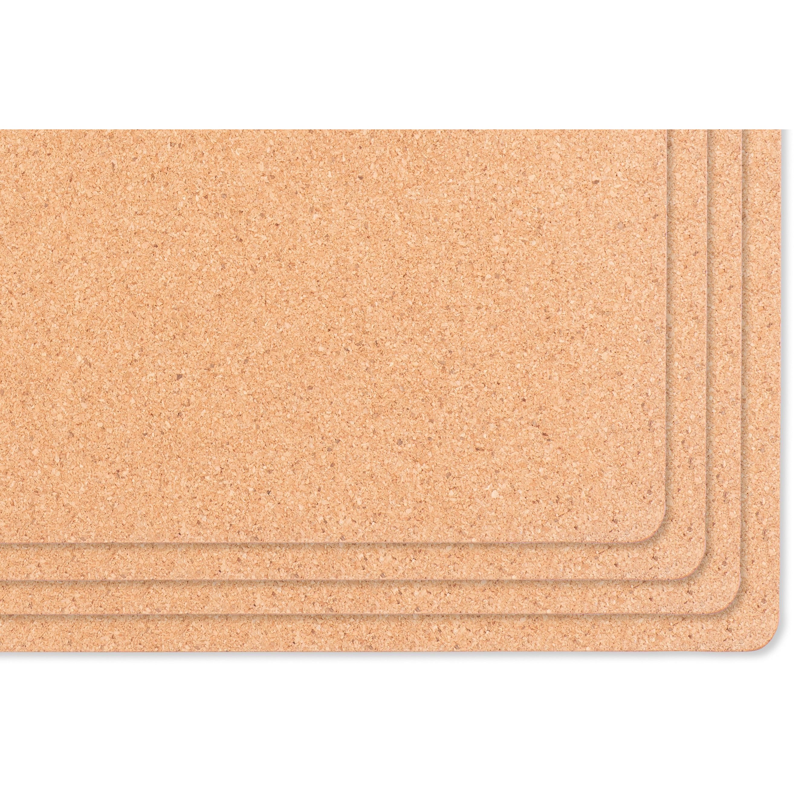 SET OF 4 EASY CARE PLACEMATS BLUE ROSES