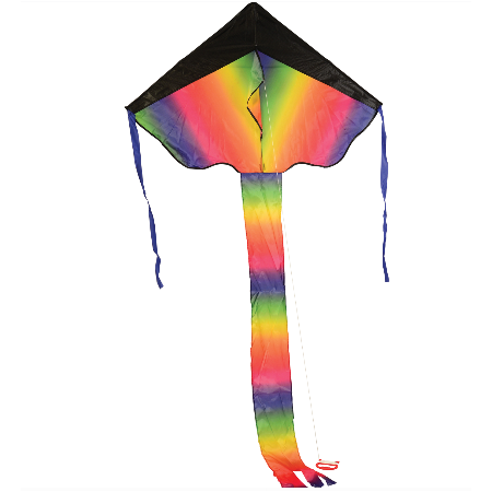 Rainbow Dragon Tail Kite