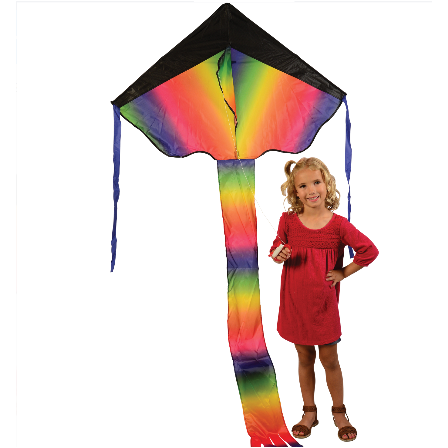 Rainbow Dragon Tail Kite