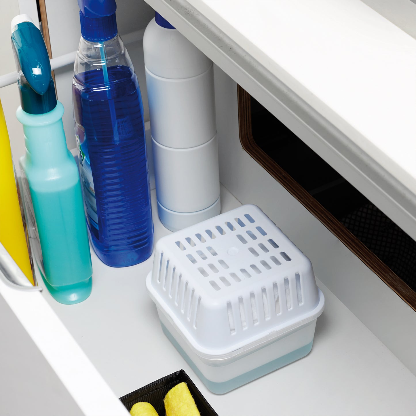  Compact 250g Unscented
