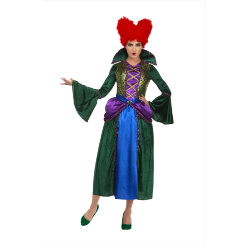 HOCUS POCUS BOSSY WITCH COSTUME
