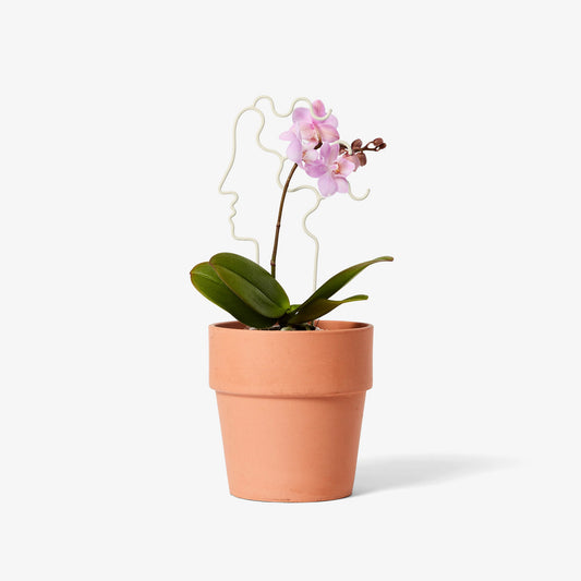 Plant Trellis Human Mini