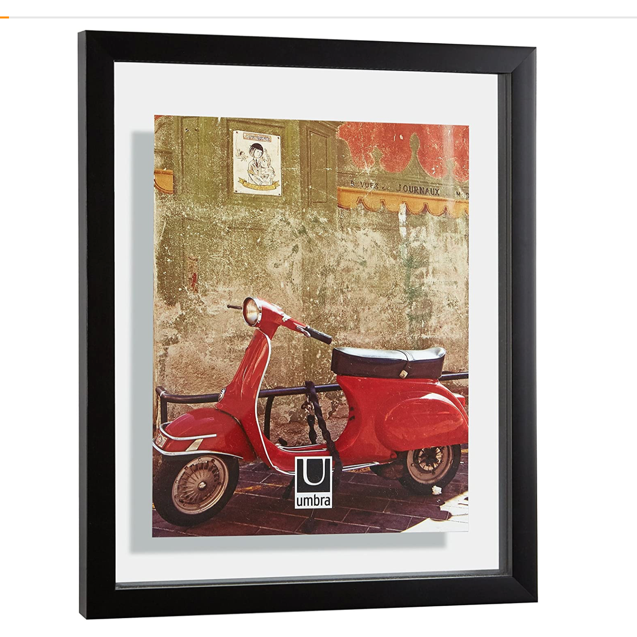 Document Photo Display 13" x 16" Black