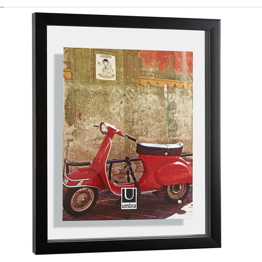Document Photo Display 13" x 16" Black