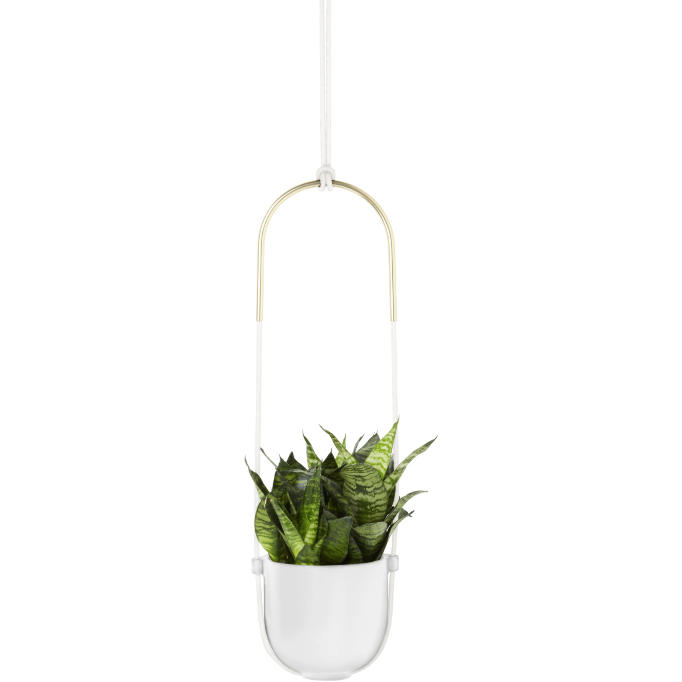 Bolo Hanging & Ceiling Planter