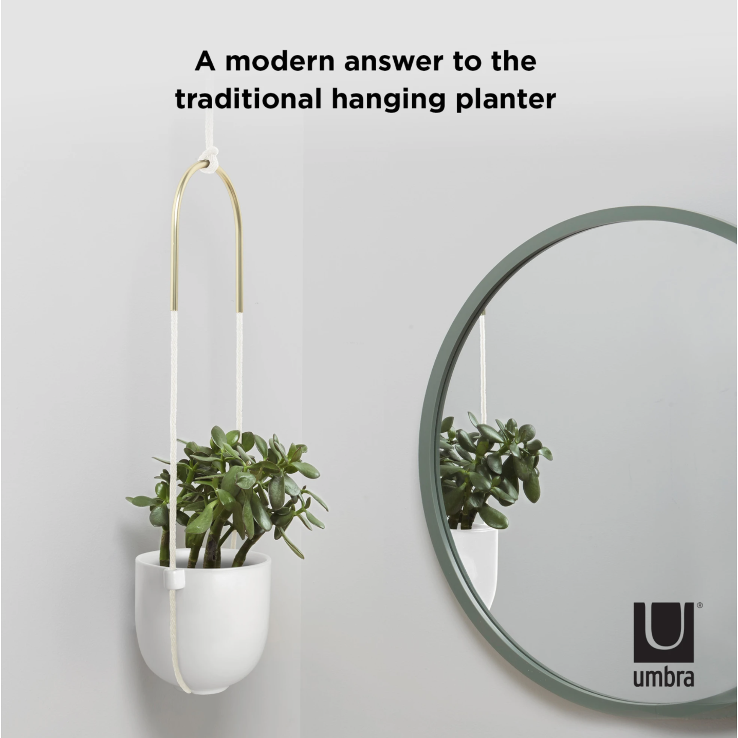Bolo Hanging & Ceiling Planter