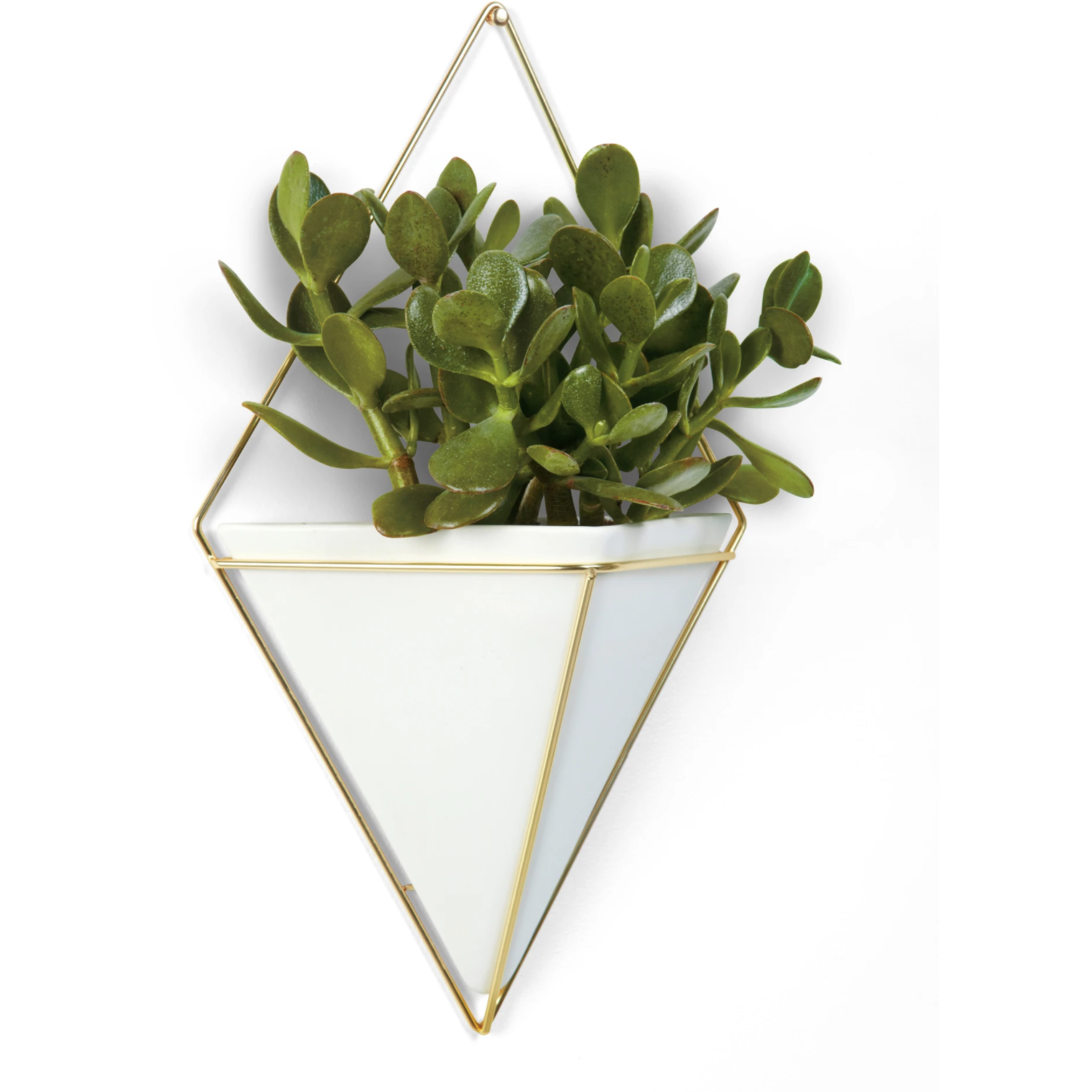 Trigg Large Wall Vessel White-Brass