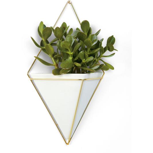 Trigg Large Wall Vessel White-Brass
