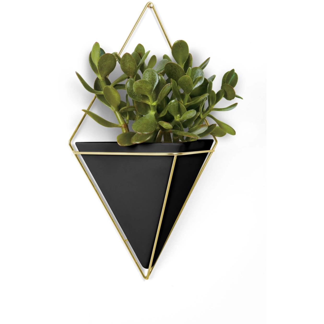 Trigg Large Wall Vessel   Black-Brass