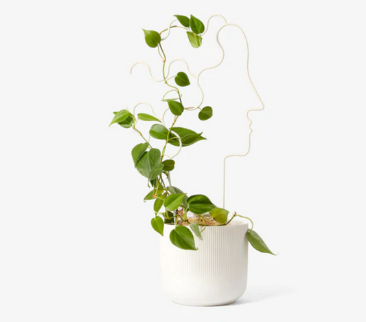 Plant Trellis Human Large