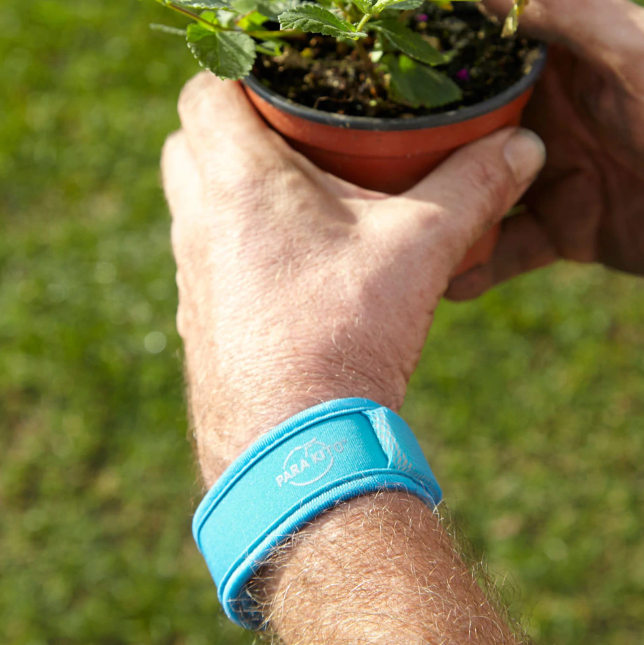 Mosquito Repellent Wristband