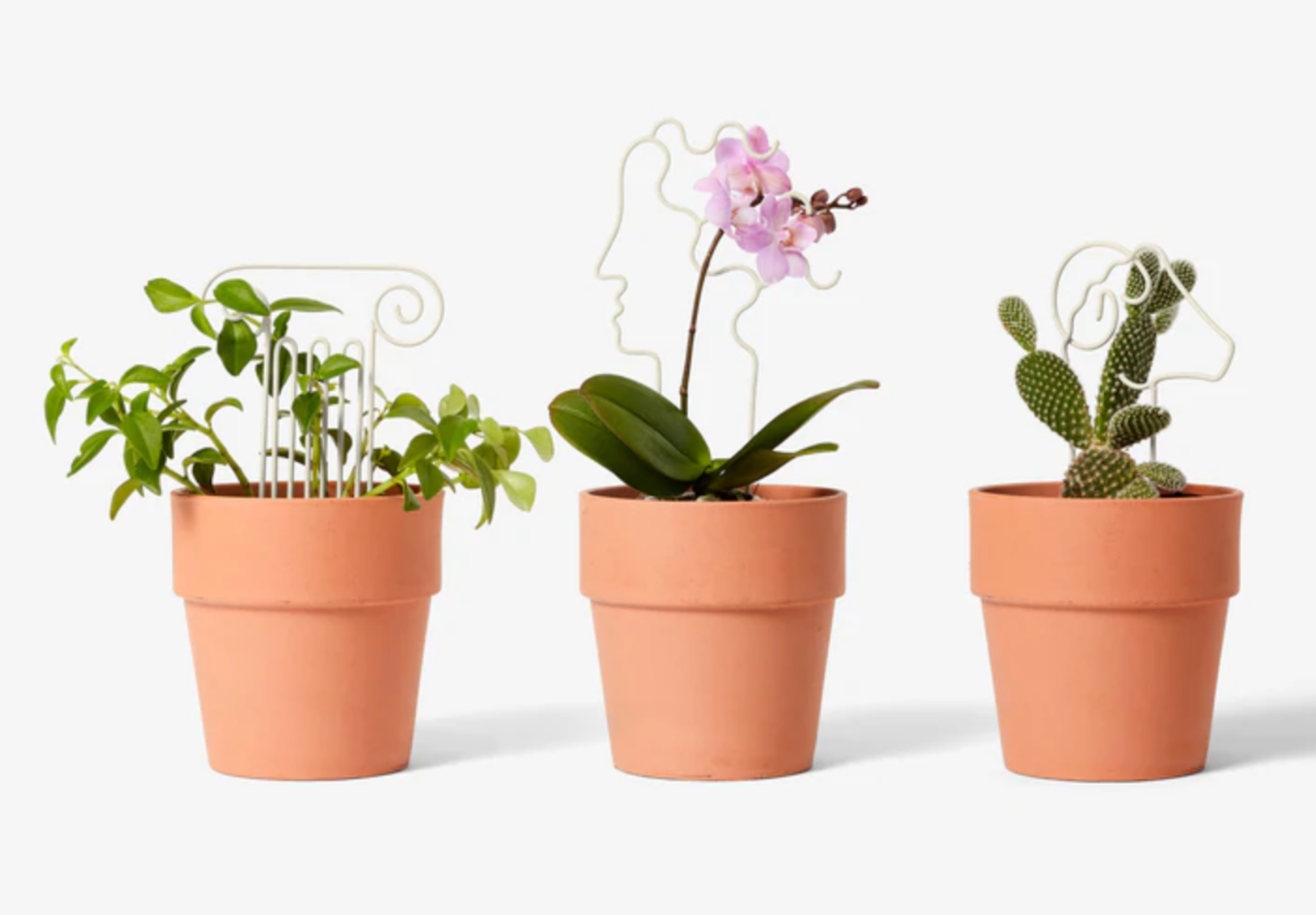 Plant Trellis Human Large