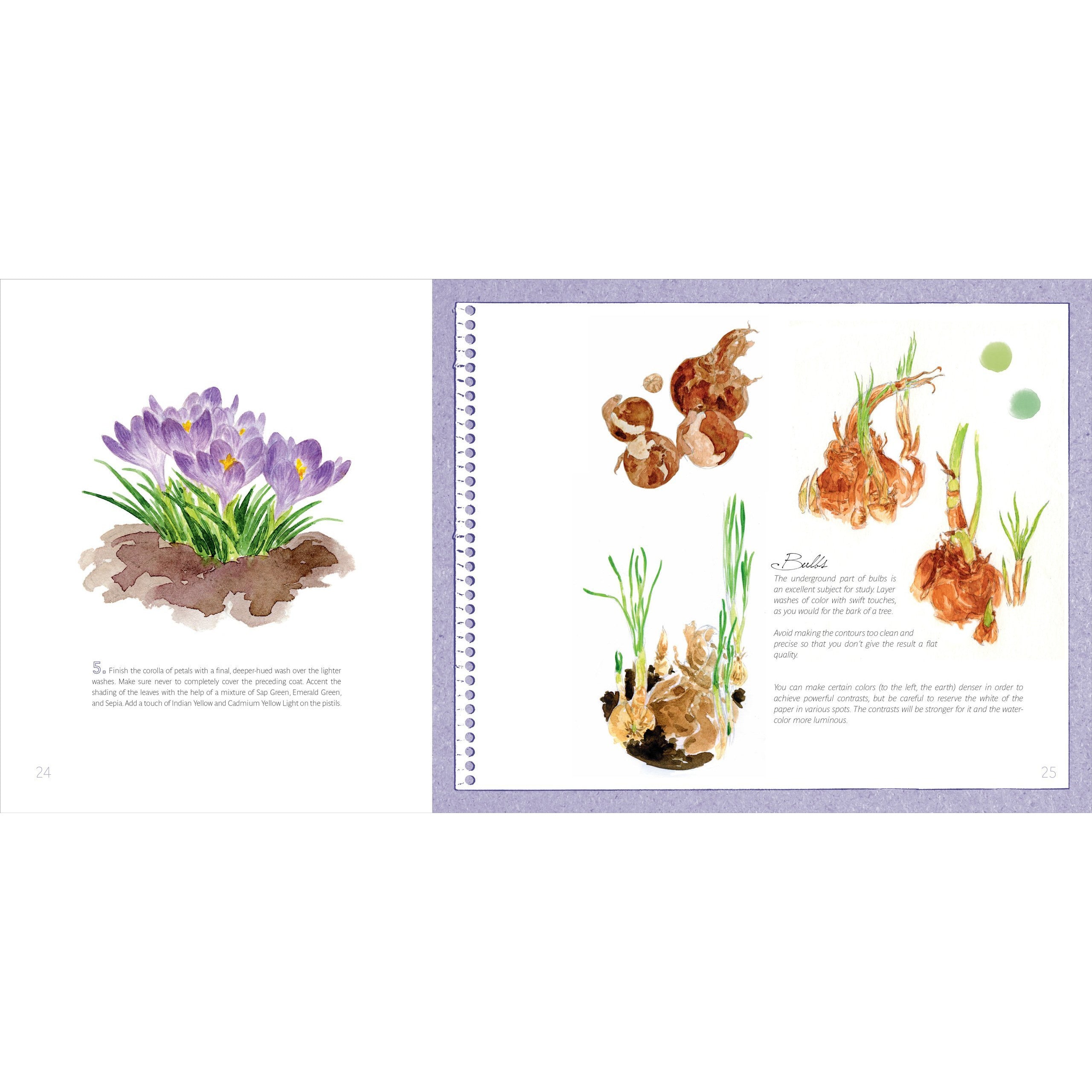 WATERCOLOR NATURE BY AMANDINE LABARRE