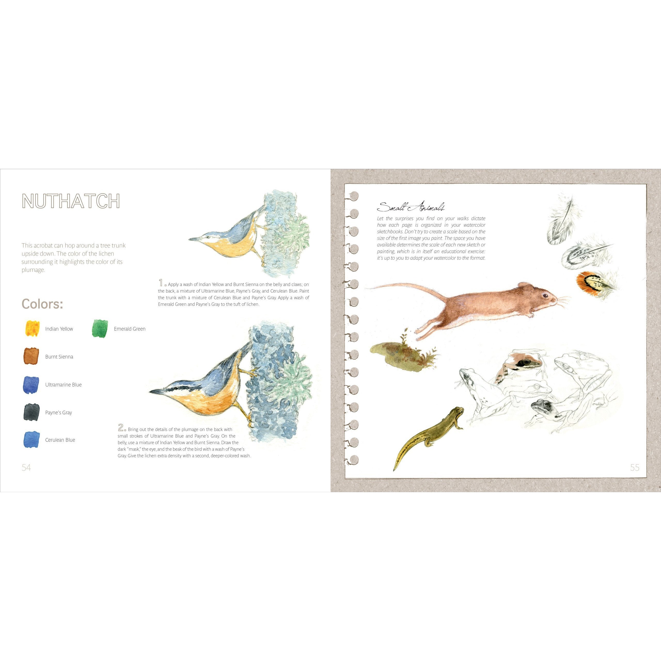 WATERCOLOR NATURE BY AMANDINE LABARRE