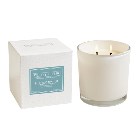 BLU EUCALYPTUS 2 WICK CANDLE IN WHITE GLASS