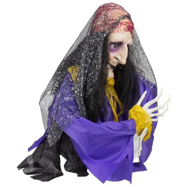NEW : 20 IN ANIMATED FORTUNE TELLER SKELTON IN COFFIN RACER
