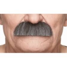 Mustaches Grey