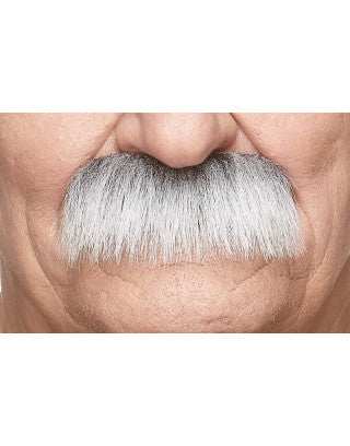 Mustaches Grey