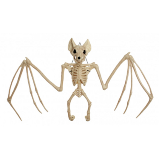 LARGE BAT SKELETON